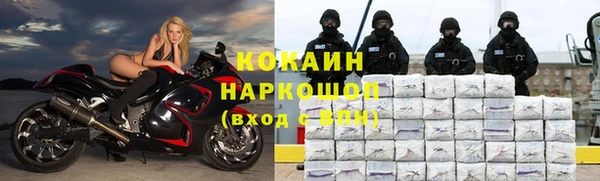 винт Вяземский