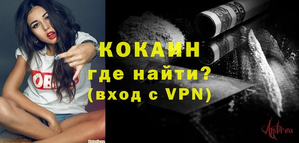 винт Вяземский