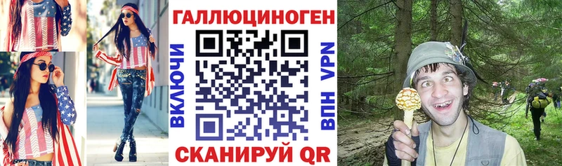 дарнет шоп  Задонск  Галлюциногенные грибы мицелий 